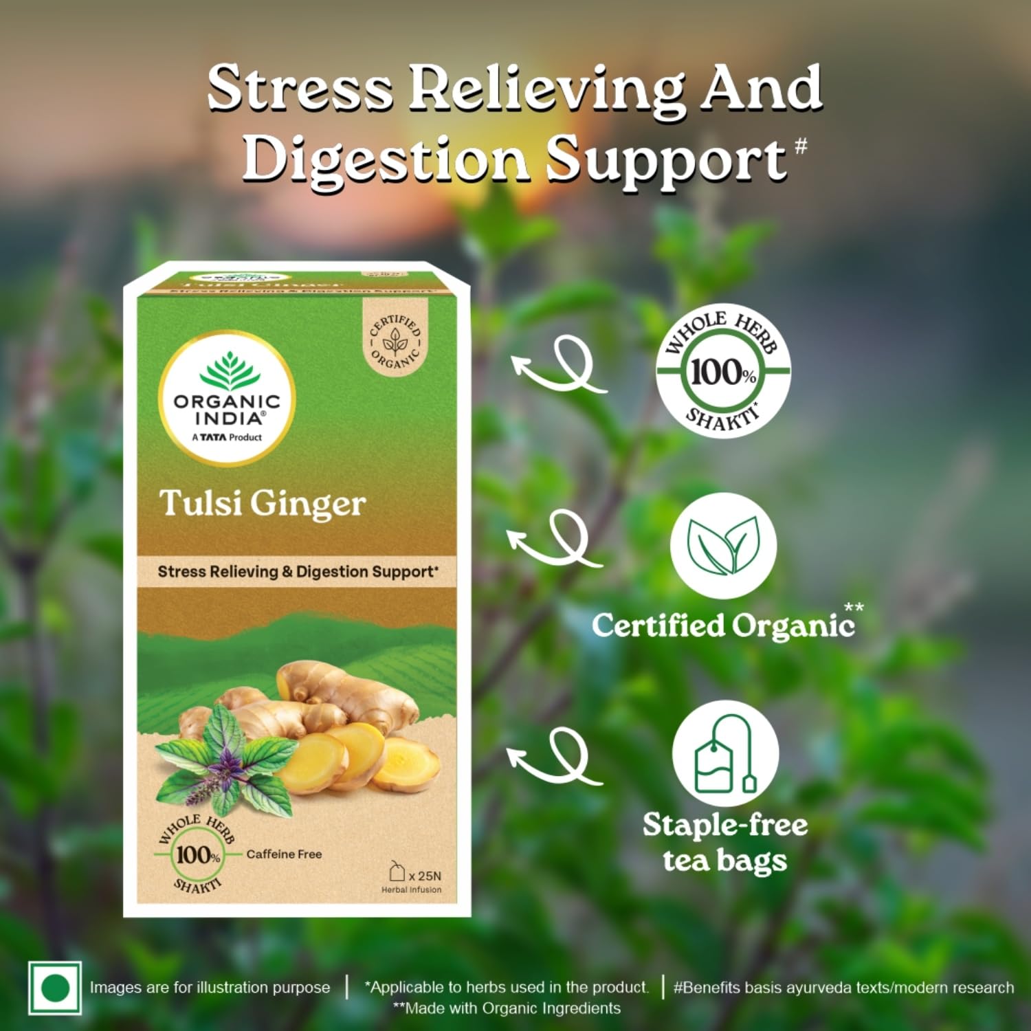 Organic India Infusion Tea Bags - Tulsi Ginger, 25 Bags – view 3