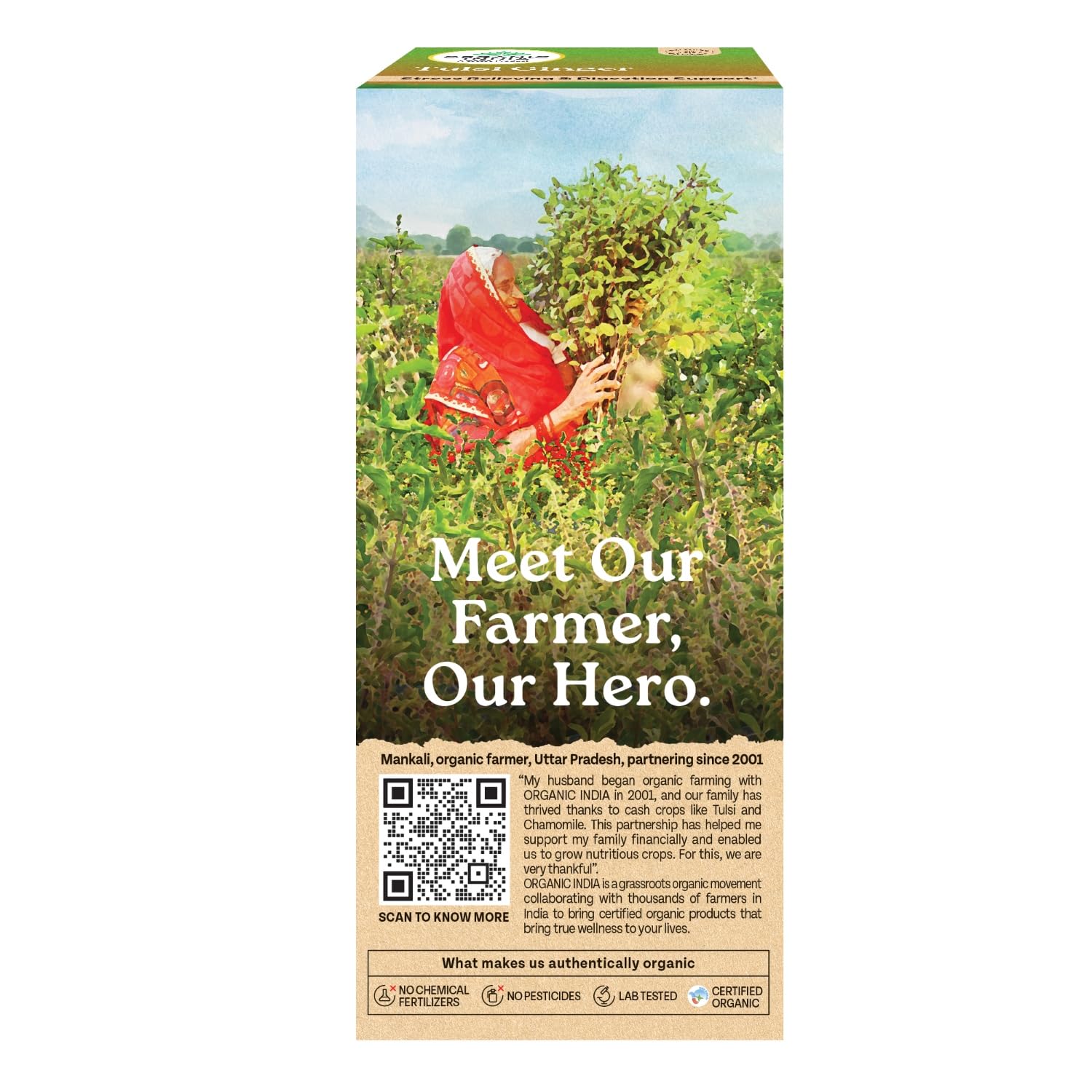 Organic India Infusion Tea Bags - Tulsi Ginger, 25 Bags – view 6