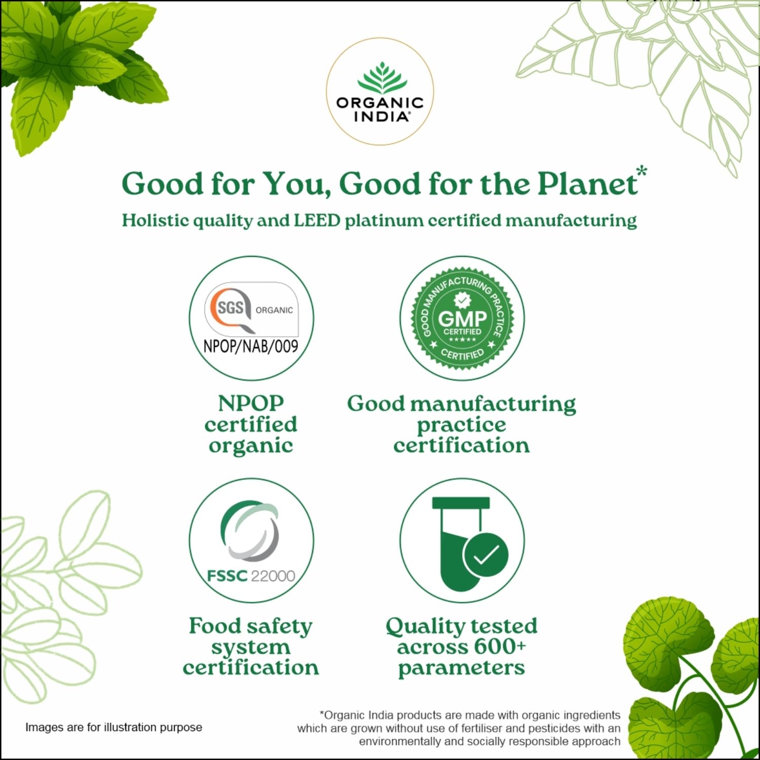 Organic India Infusion Tea Bags - Tulsi Ginger, 25 Bags – view 8