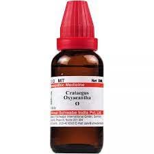 Twin bottle pack of Dr. Willmar Schwabe Crataegus Oxyacantha Q