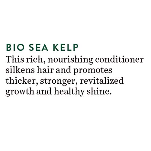 Biotique Ocean Kelp Anti Hair Fall Conditioner Intensive Hair Growth Therapy, 120ml – view 7