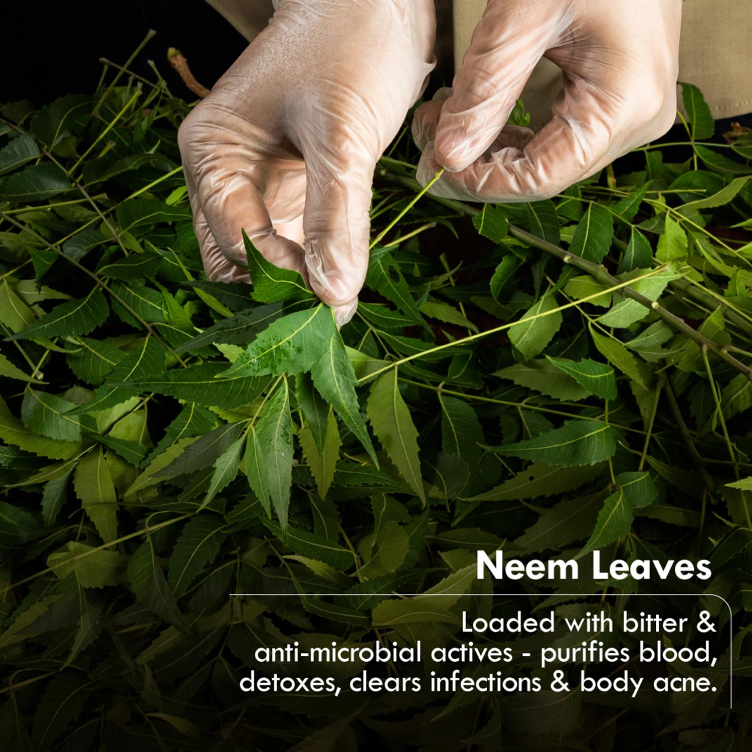 Nat Habit Neem Basil Butter Soap – view 4