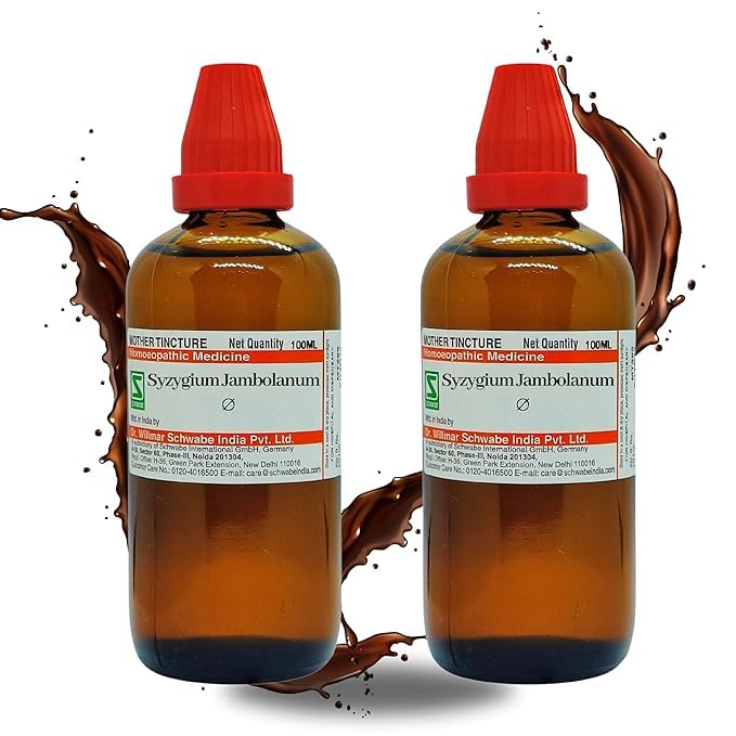 Dr Willmar Schwabe India Syzygium jambolanum Q 200ML (100mlx2) – view 1
