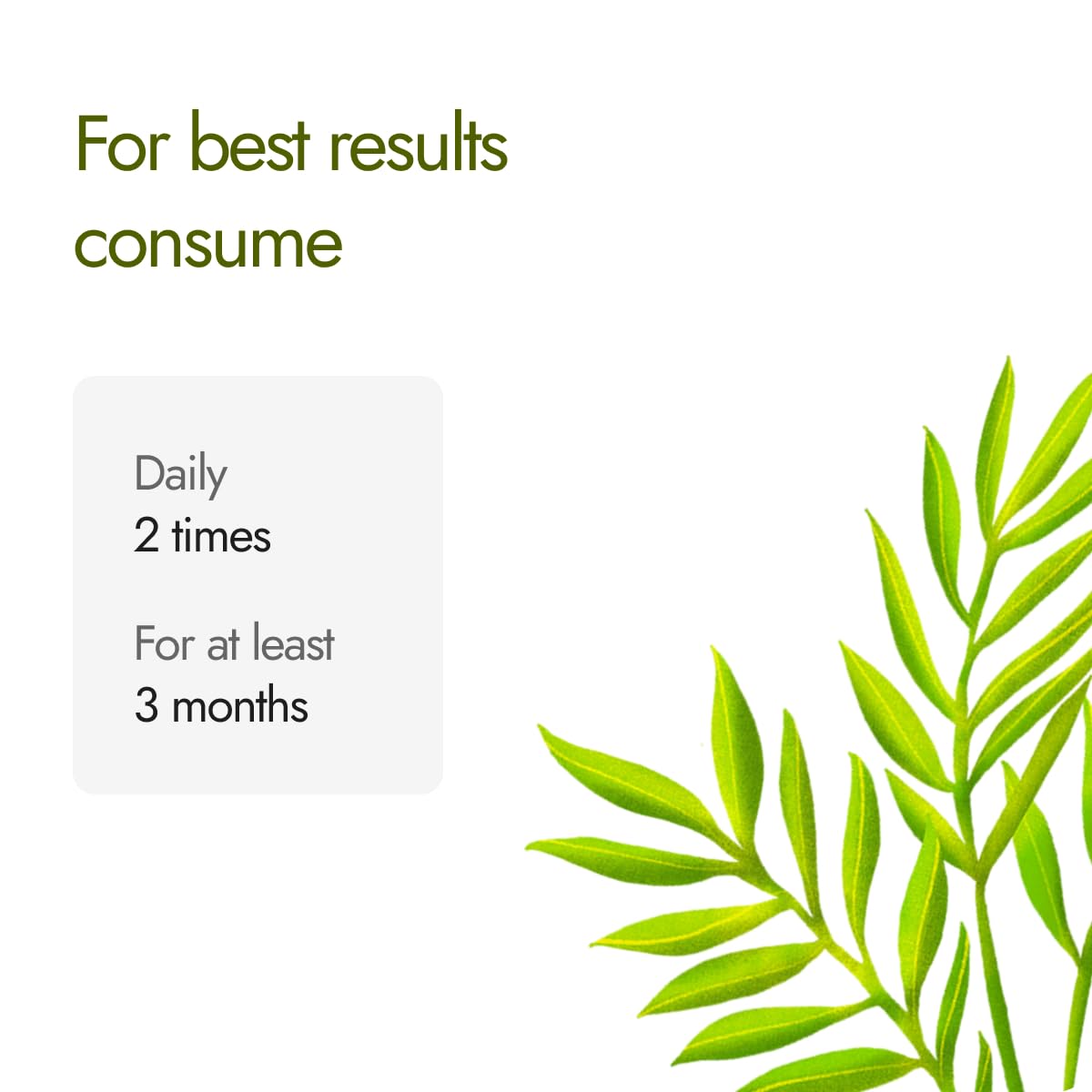 Kapiva Dia Free Capsules – view 7