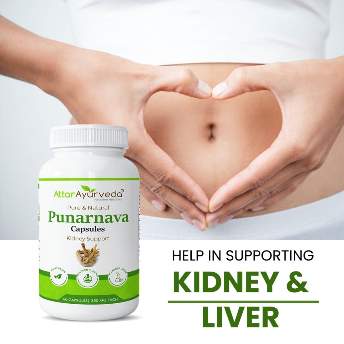 Attar Ayurveda Punarnava Capsules 350 mg - 60 capsules for Kidney Support – view 4