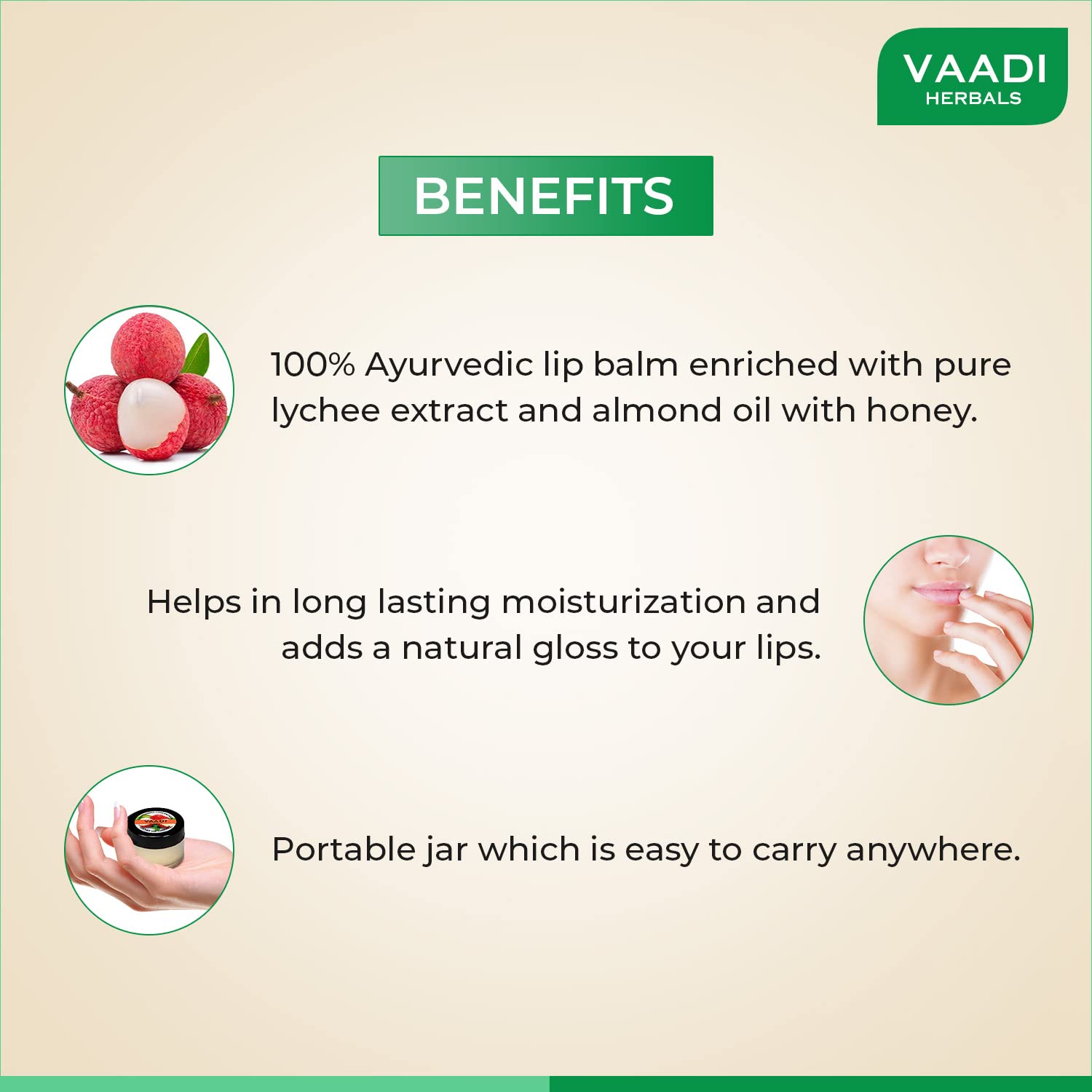 Vaadi Herbals Value Lip Balm, Lychee, 4 x 10g – view 2