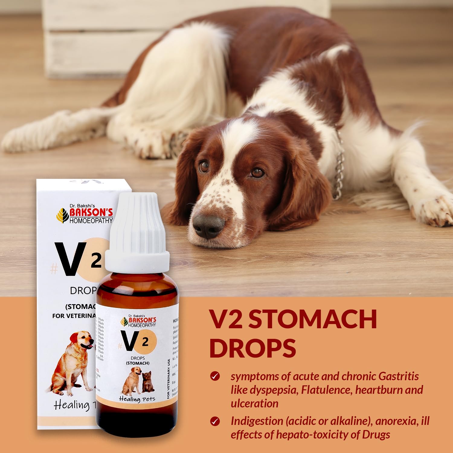 Bakson Veterinary – view 3