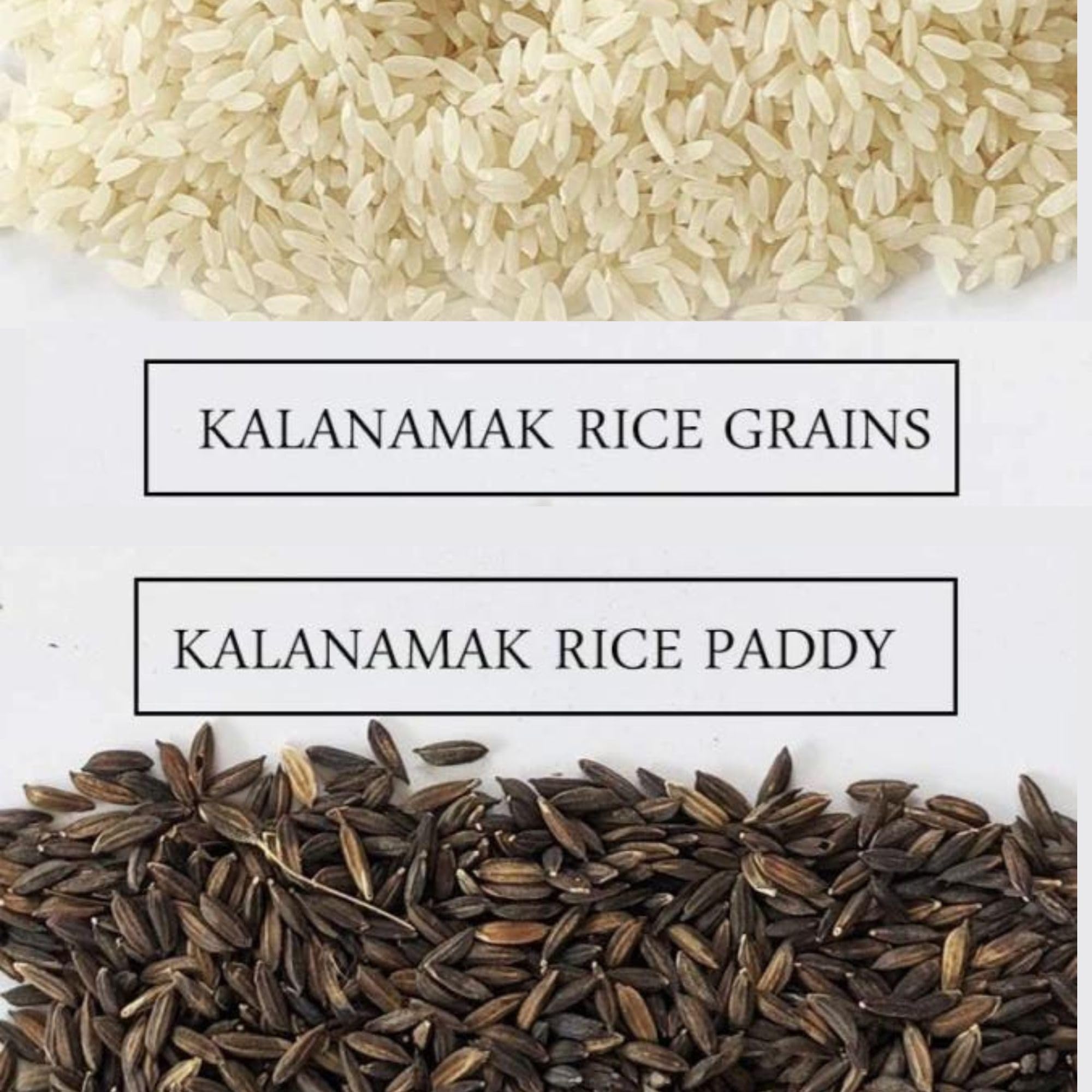 Kala Namak Rice – view 2