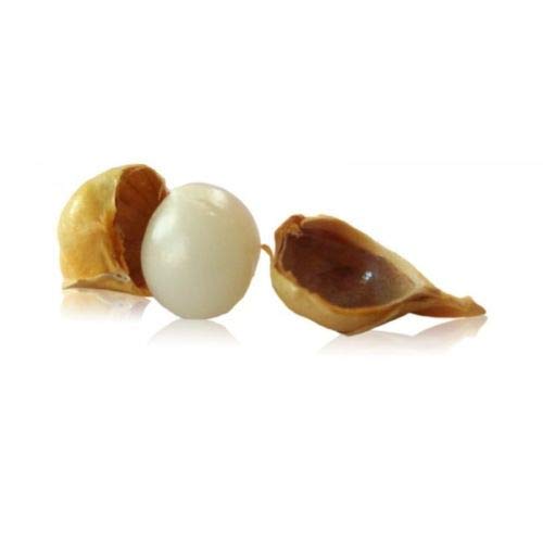 Yuvika Kashmiri Lehsun - Snow Mountain Garlic - Allium sativum - kashmiri Garlic 100 Grams – view 5