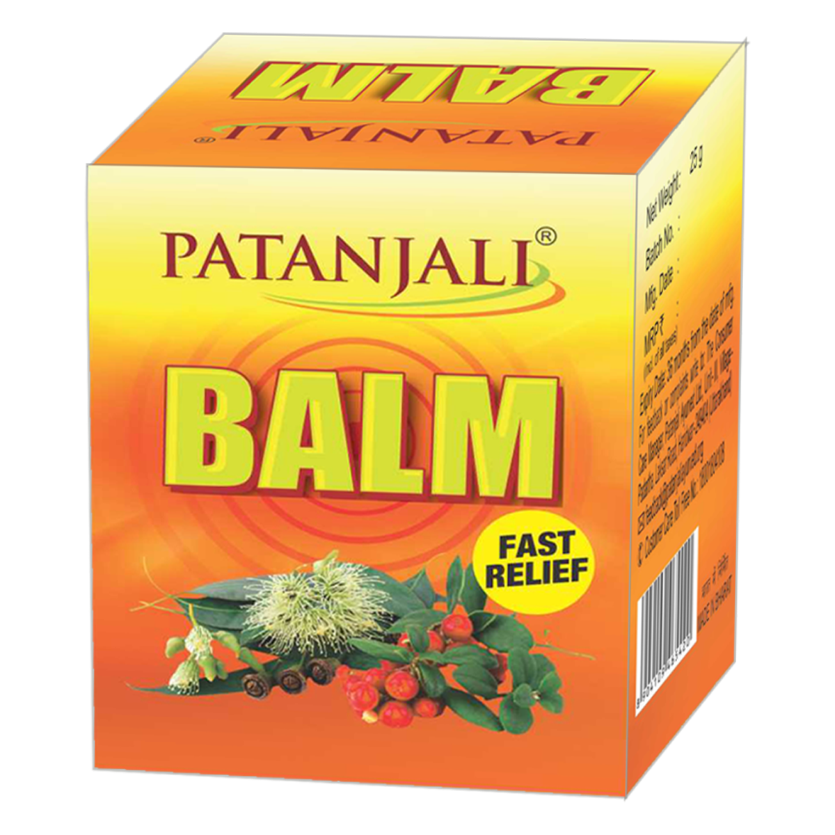 Patanjali pain balm 25 g tube packaging close-up