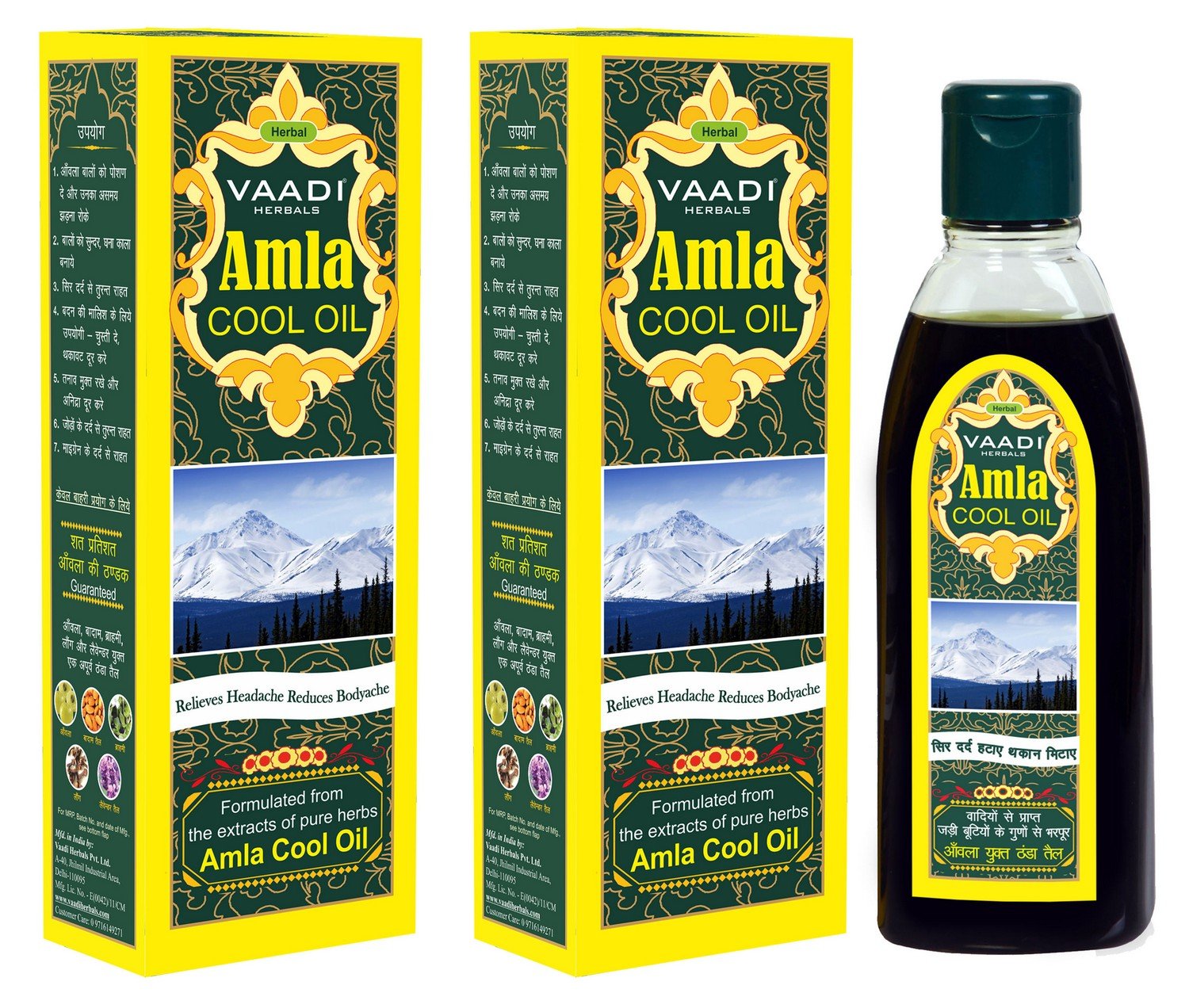 Two bottles of Vaadi Herbals Amla Cool Oil