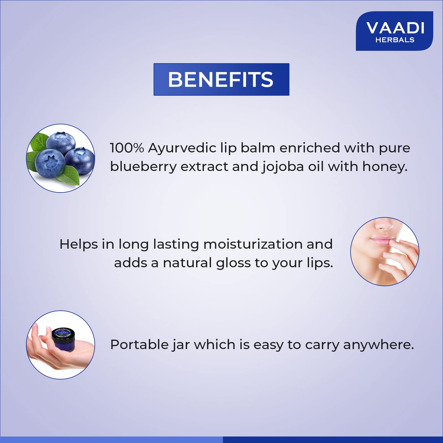 Vaadi Herbals Lip Balm, Blueberry, 10g x 8 – view 2