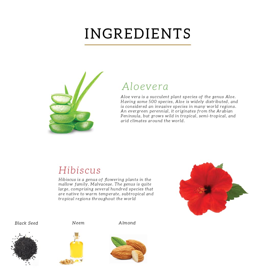 KHADI NATURAL HIBISCUS & ALOEVERA SHAMPOO WITH REETHA & AMLA SULPHATE PARABEN FREE - POWERED BOTANICS – view 5