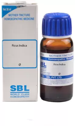 SBL Ficus Indica Mother Tincture Q 30ml