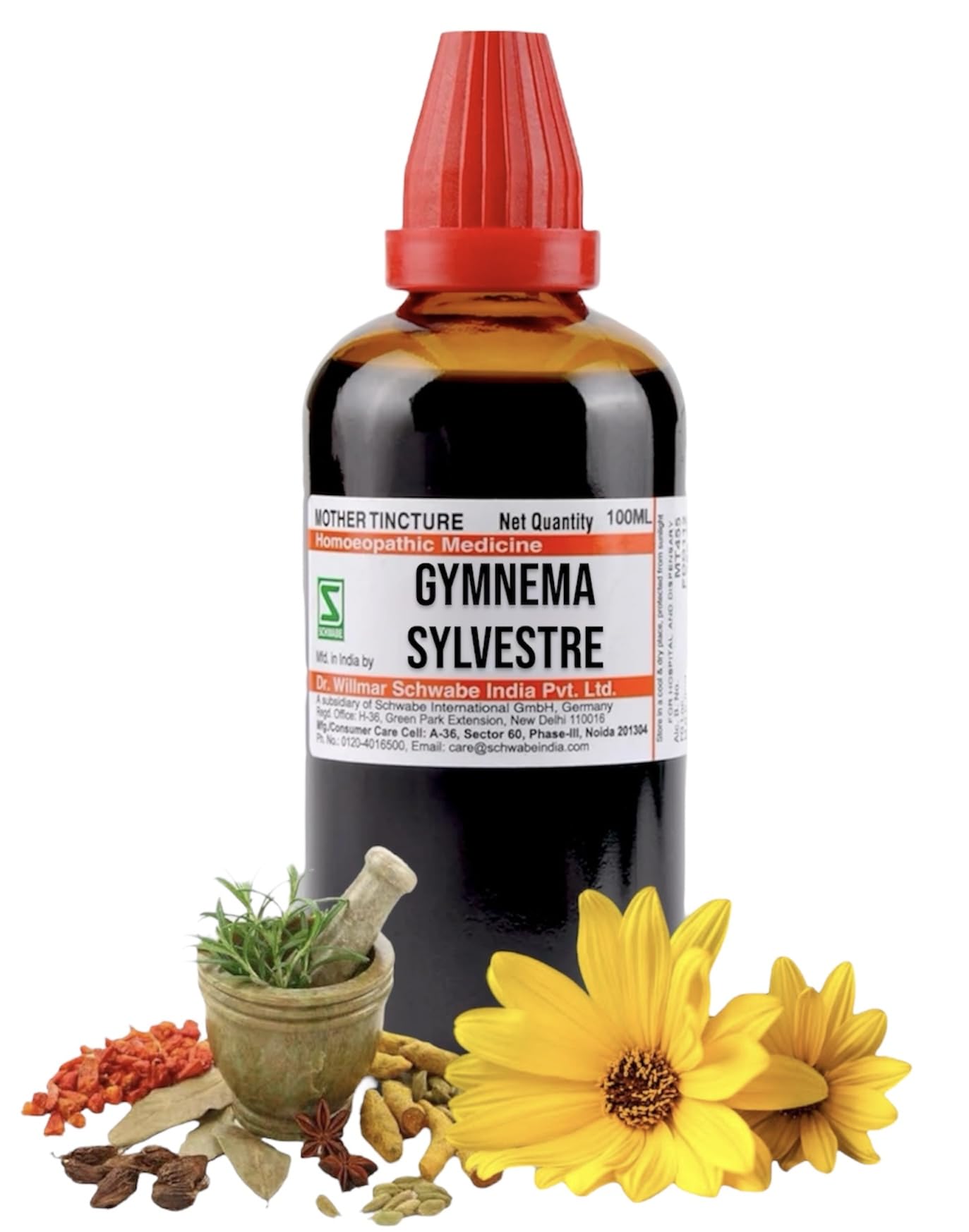 Dr.Willmar Schwabe Gymnema Sylvestre Mother Tincture Q 100ml - Orignal_Extract Homeopathy