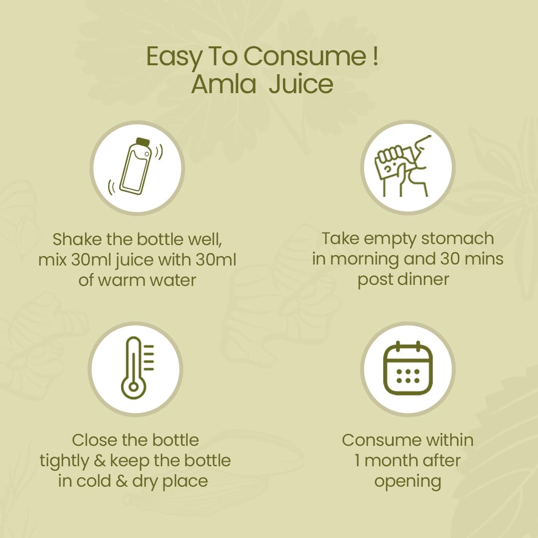 Krishna's Amla Special High Fibre Juice - 1000 ml – view 5