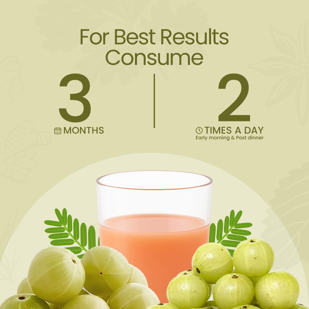 Krishna's Amla Special High Fibre Juice - 1000 ml – view 7