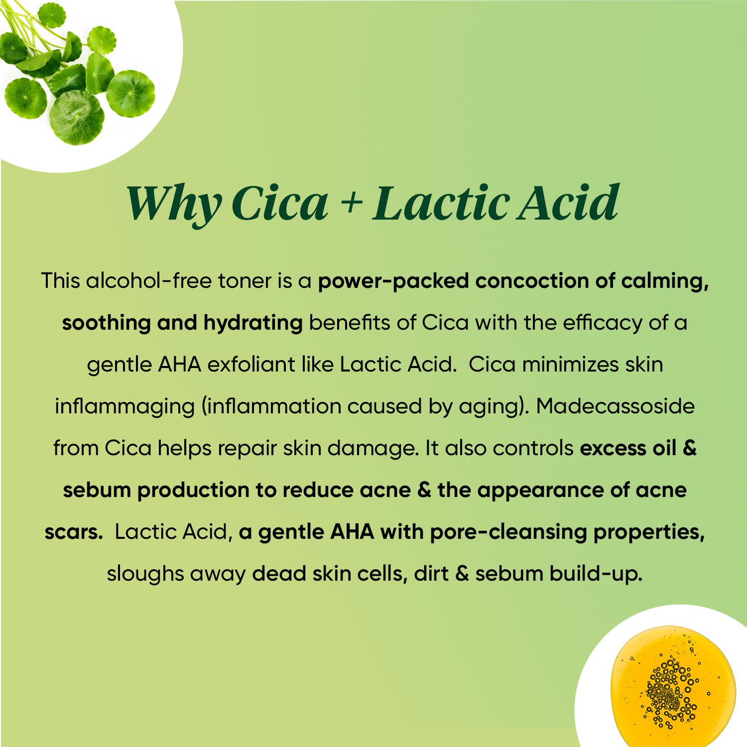 Dot & Key Cica Calming Skin Clarifying Toner with Green Tea & Niacinamide – view 5