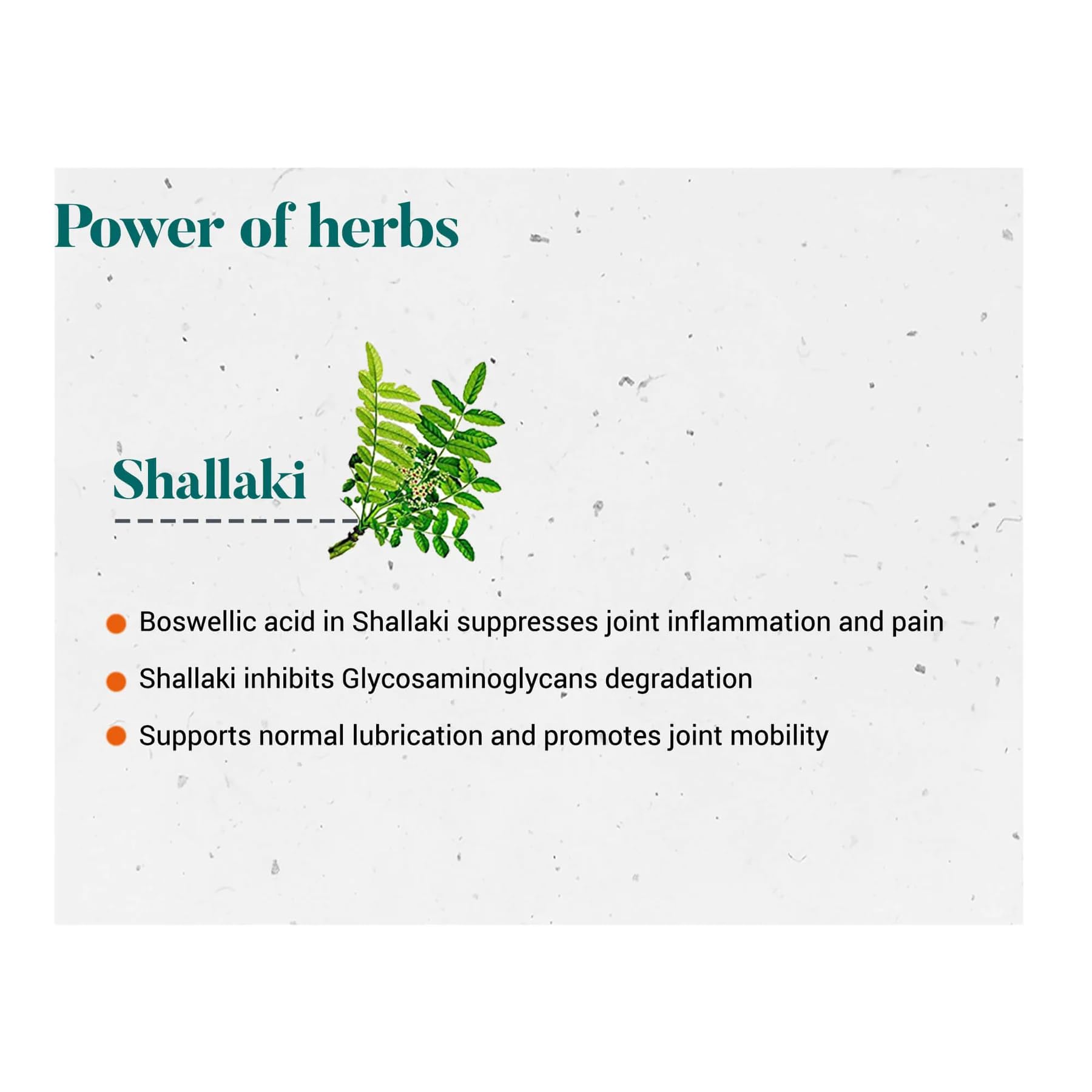 Himalaya Wellness Shallaki Bone & Joint Wellness – view 2