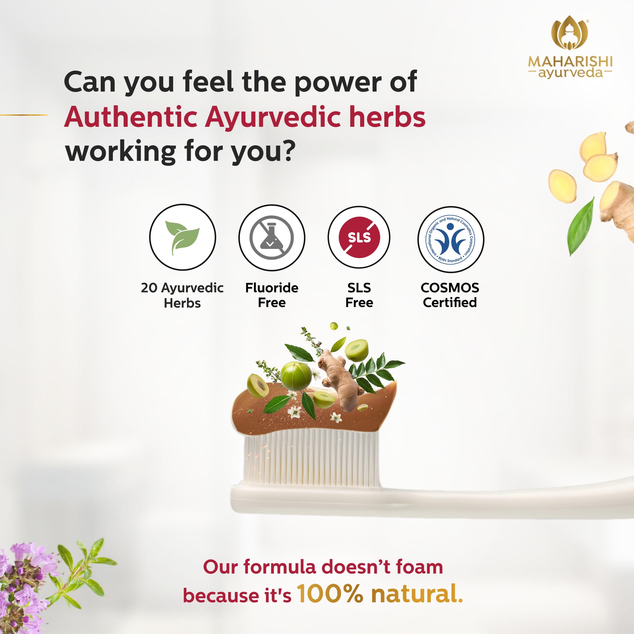 Maharishi Ayurveda Ayurdent Mild Herbal Ayurvedic Toothpaste - All Natural – view 5