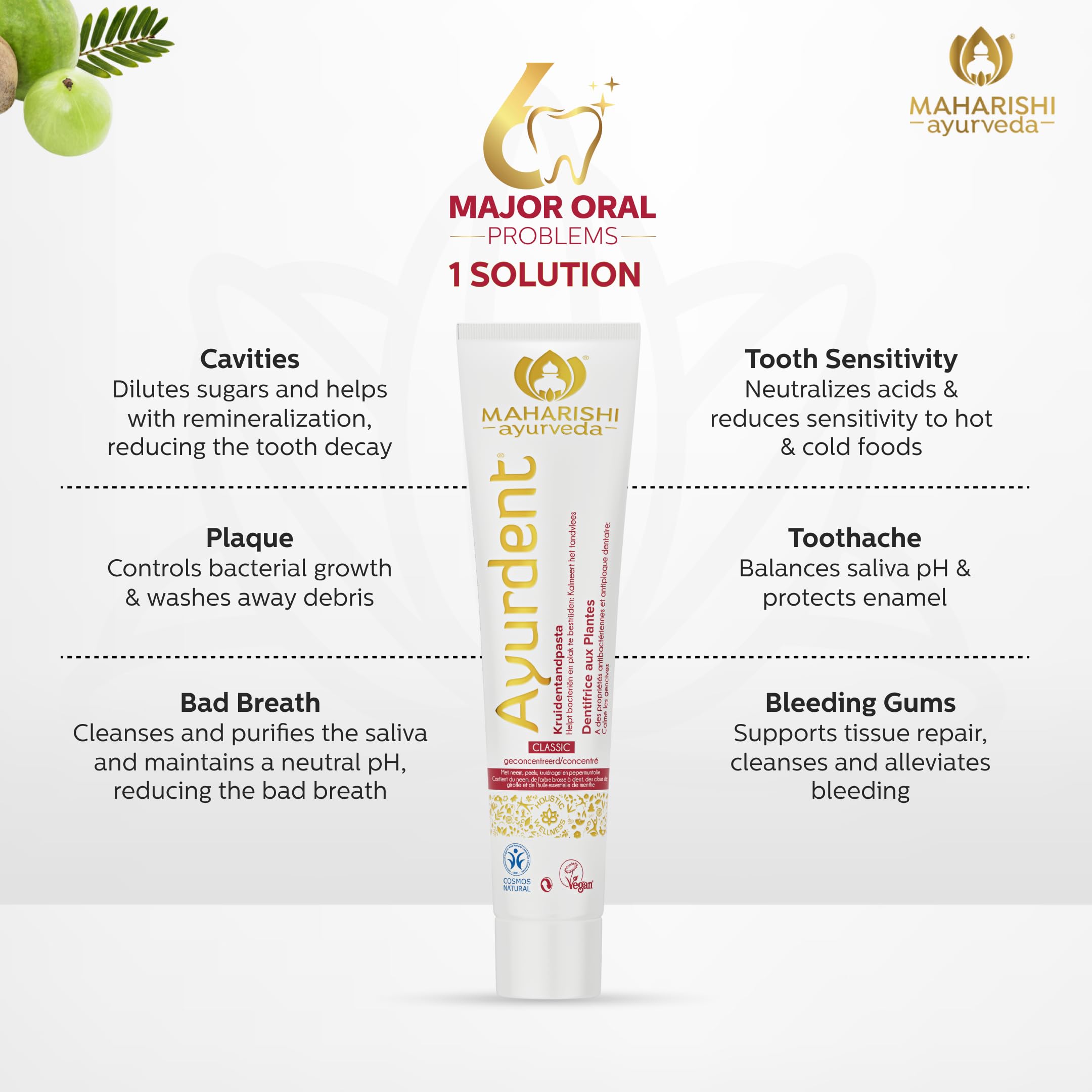 Maharishi Ayurveda Ayurdent Mild Herbal Ayurvedic Toothpaste - All Natural – view 7