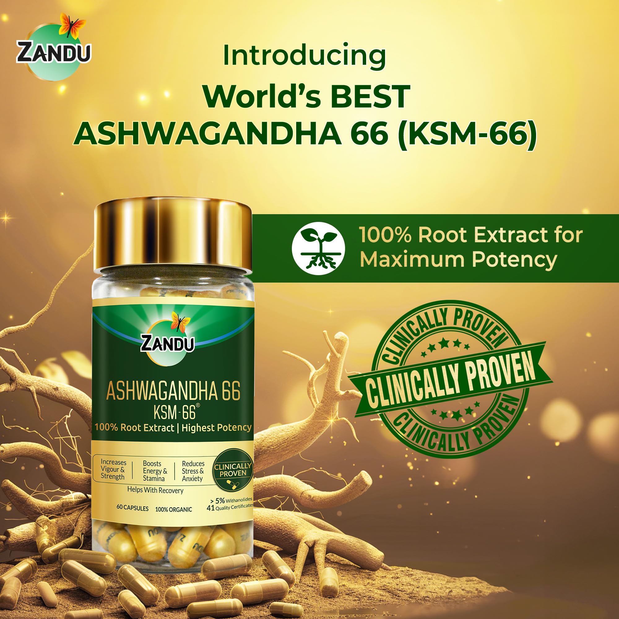 Zandu Ashwagandha KSM-66 (600 mg high dose formula) Tablets – view 4