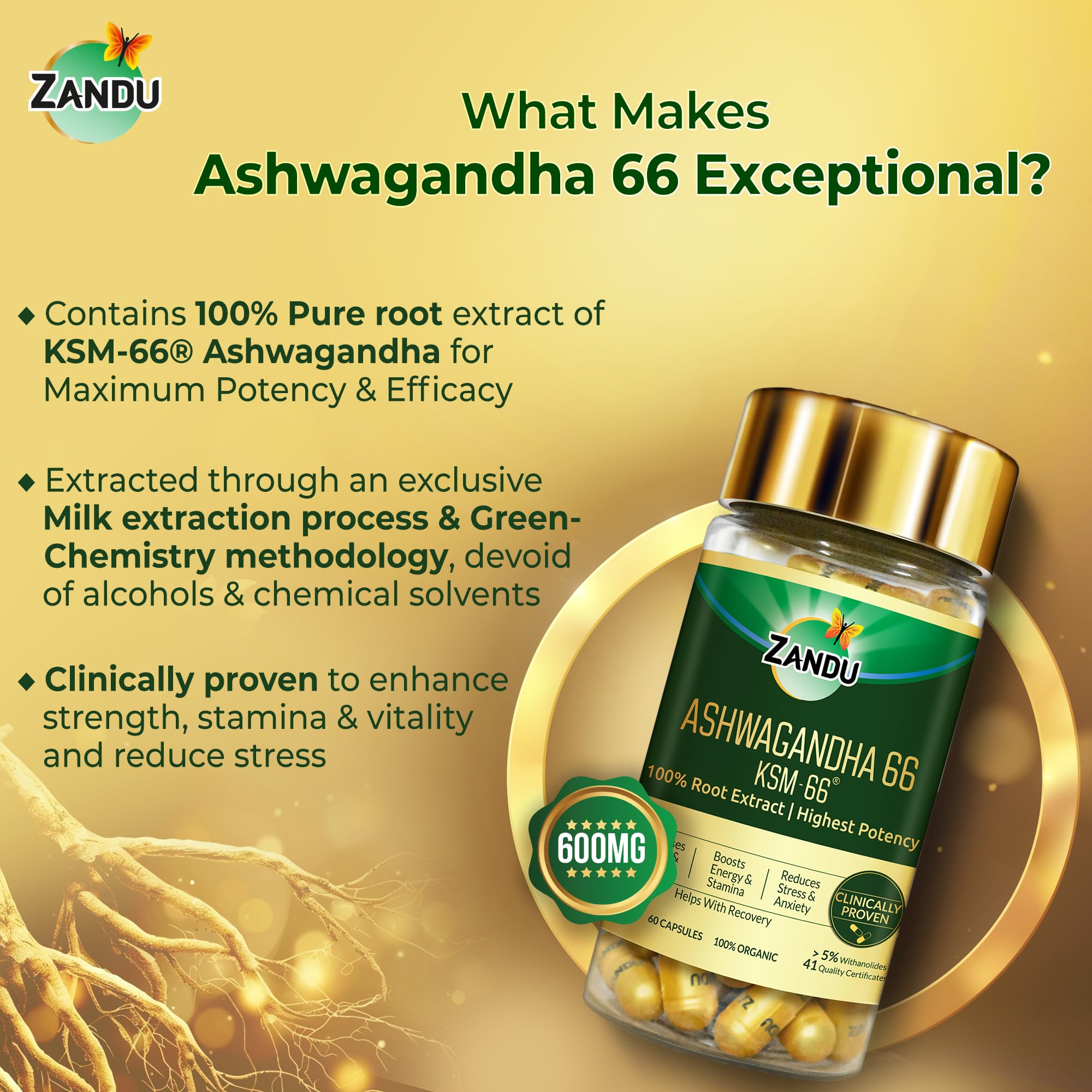 Zandu Ashwagandha KSM-66 (600 mg high dose formula) Tablets – view 6