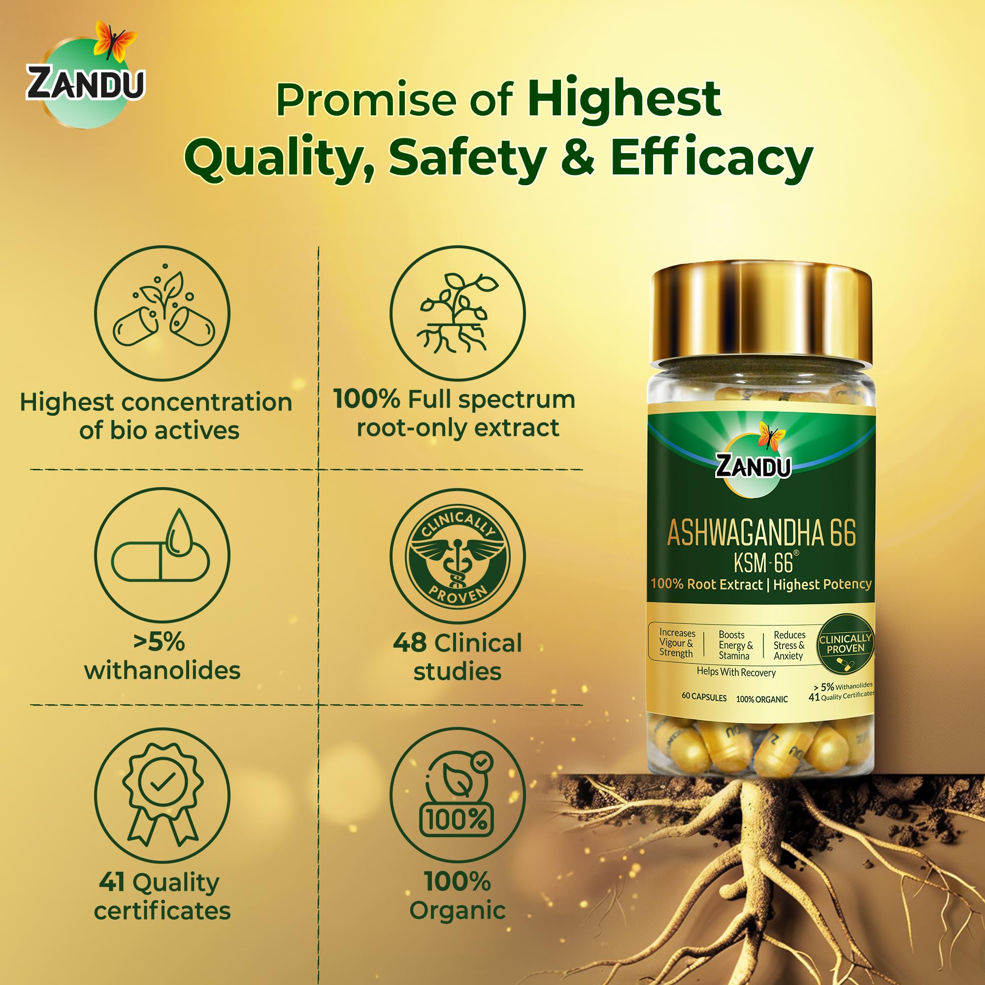 Zandu Ashwagandha KSM-66 (600 mg high dose formula) Tablets – view 7