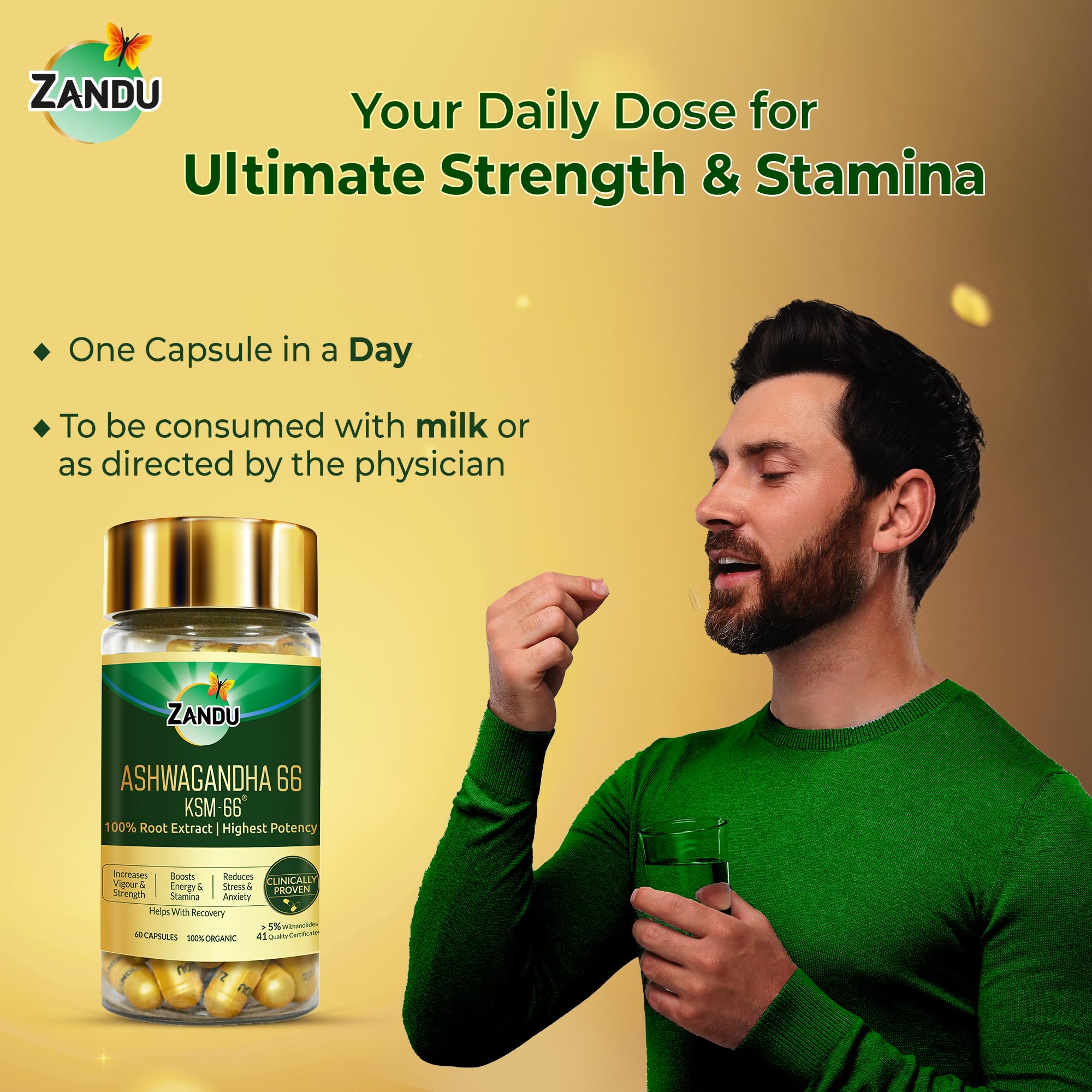 Zandu Ashwagandha KSM-66 (600 mg high dose formula) Tablets – view 8