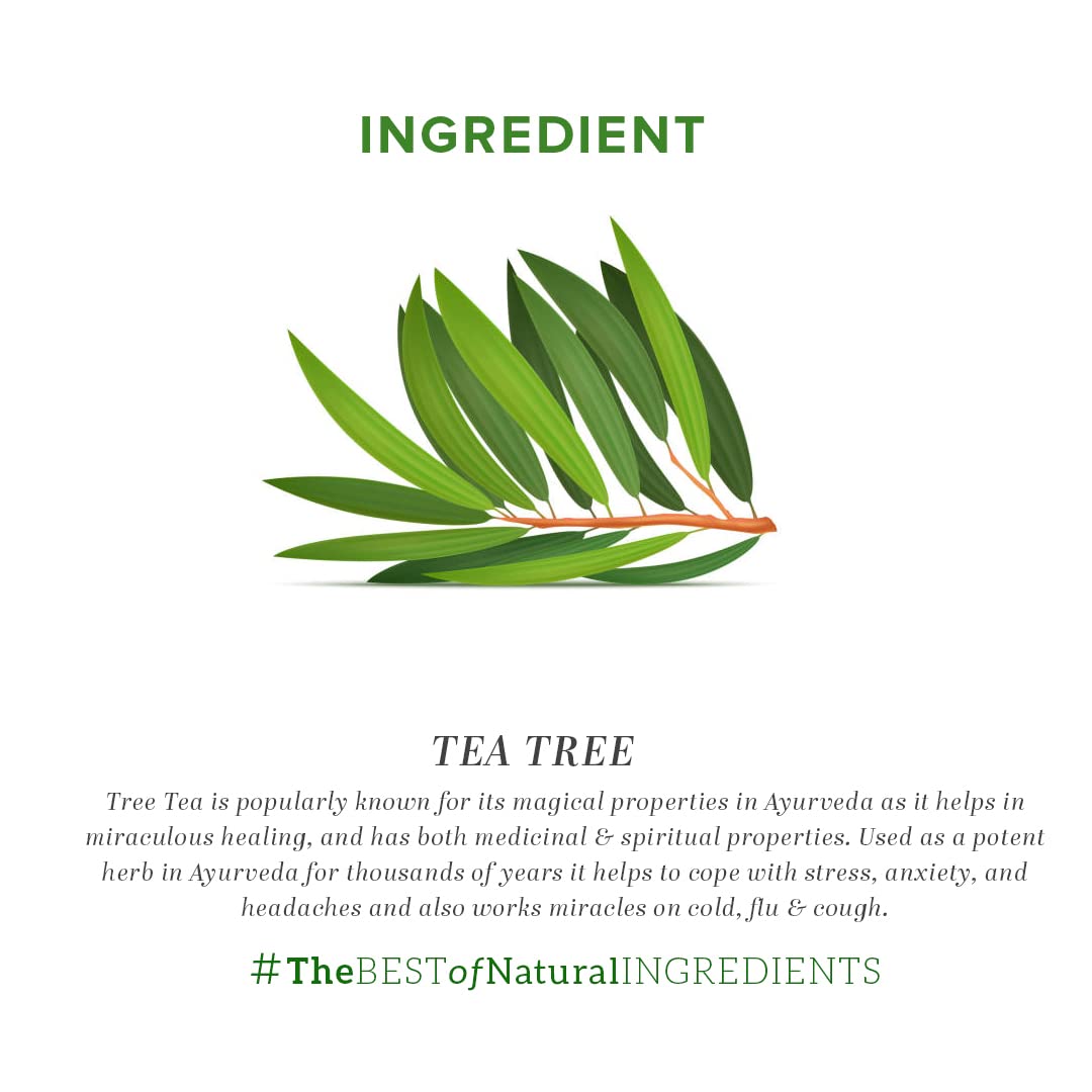KHADI NATURAL Teatree Pure Essential Oil Latest International Packaging (15ml) – view 7