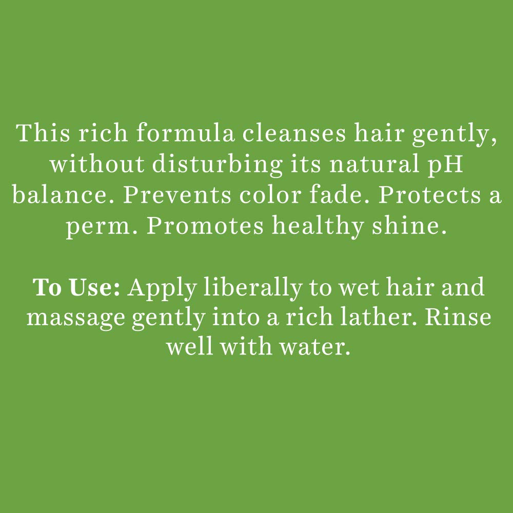 Biotique Bio Soya Protein Fresh Nourishing Shampoo – view 4