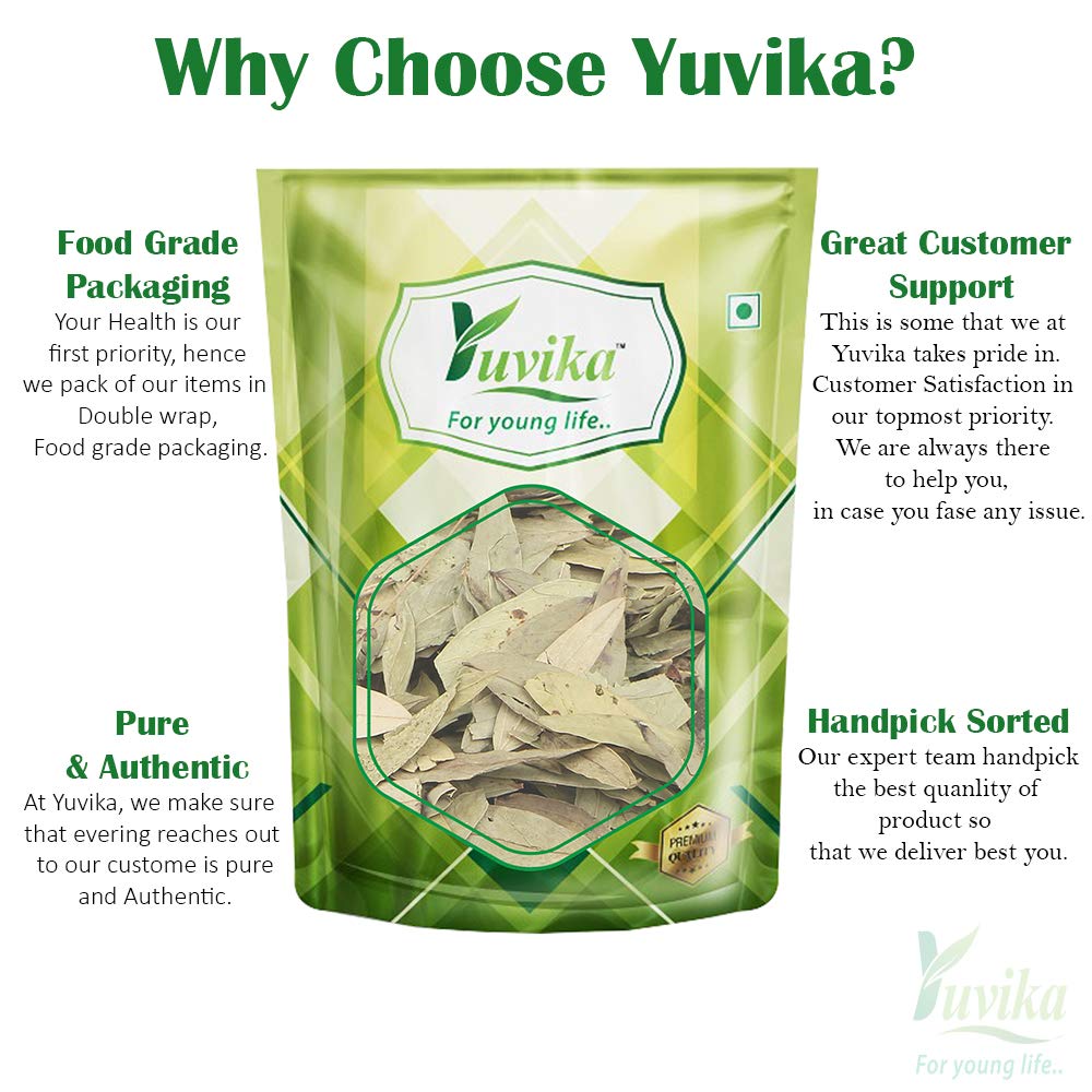 YUVIKA Senna Leaves - Sanay Leaves Spl. - Cassia Angustifolia - Senna Alexandrina 400 Grams – view 3