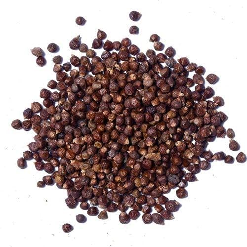 Yuvika Tomar Seeds - Nepali Dhania - Tomar Beej - Beej Tomru 100 Grams – view 2