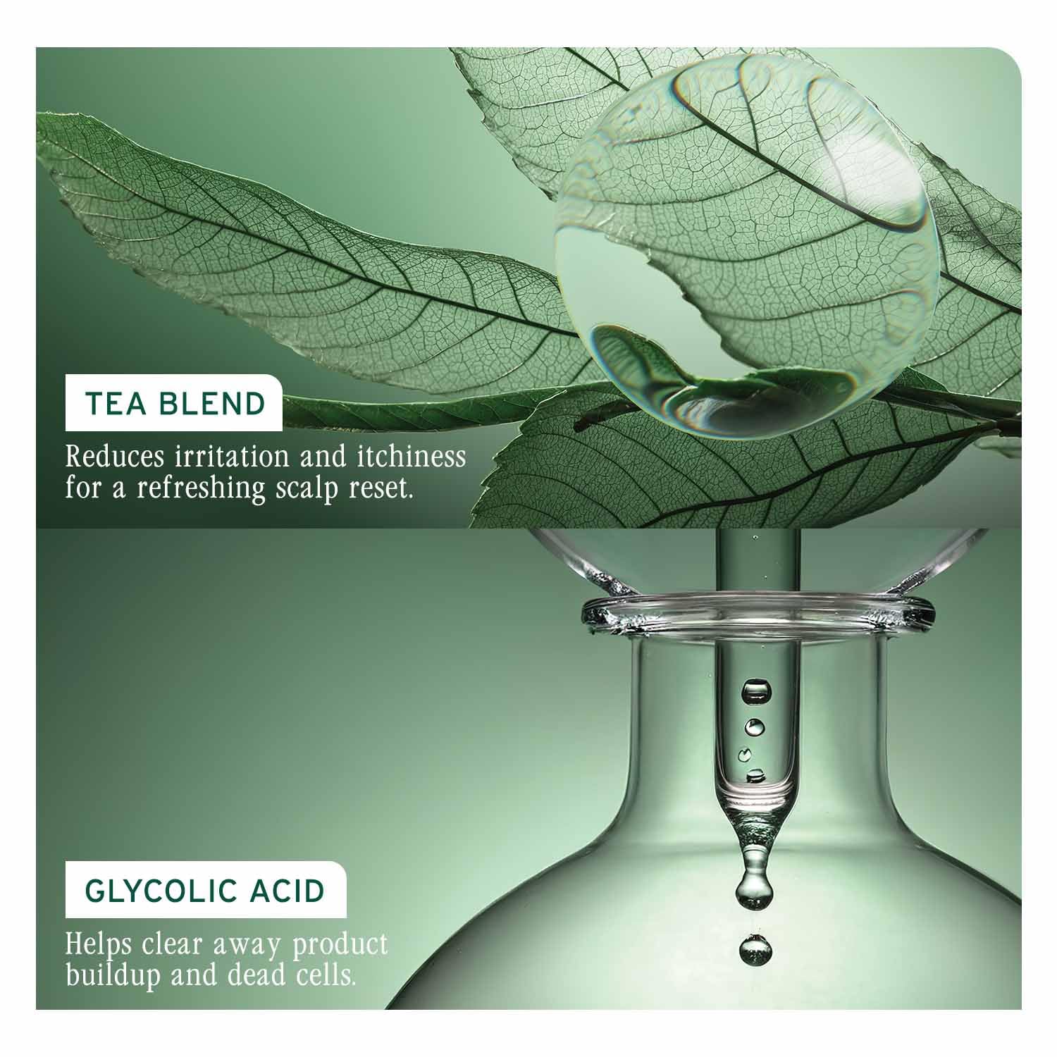 Biolage ScalpSync Concentrate – view 4