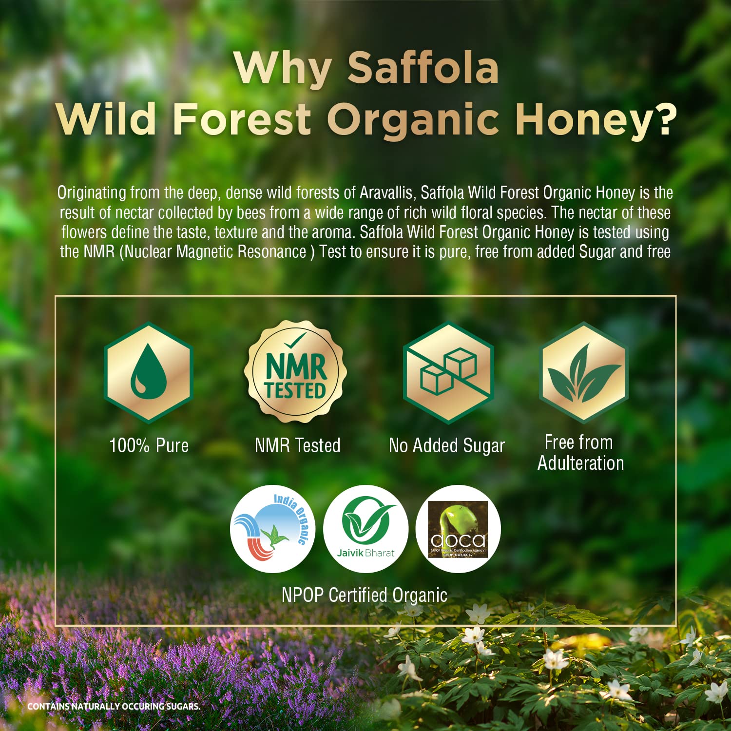 Saffola Wild Forest Organic Honey -500g -NMR Tested, 100% Pure Wild Forest Organic Honey, Brown – view 4
