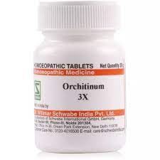 Willmar Schwabe India Orchitinum 3X (20g) – view 1