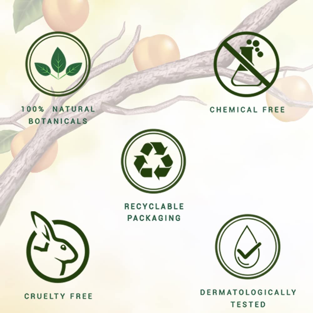 Biotique Bio Apricot Refreshing Body Wash – view 6
