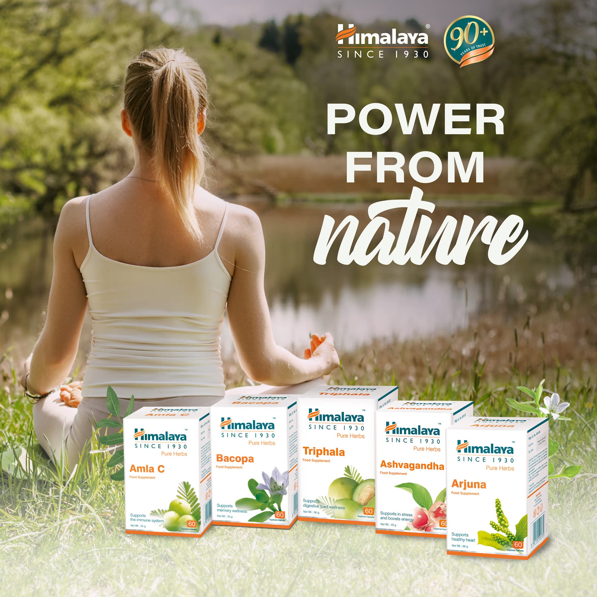 Himalaya Wellness Pure Herbs Amalaki Immunity Wellness – view 4