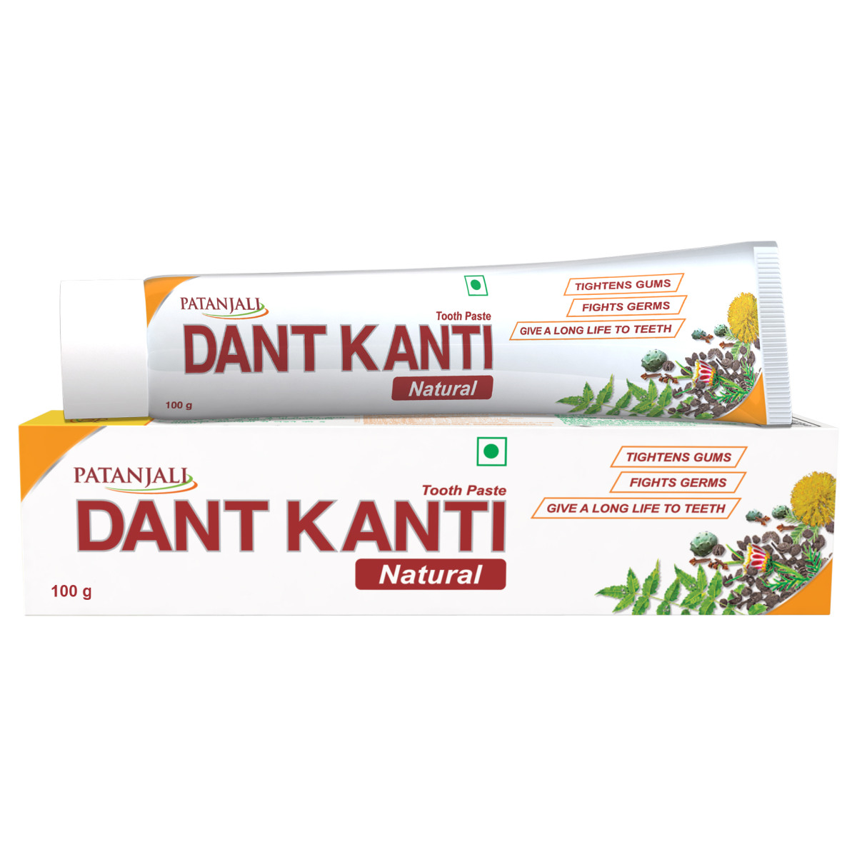 Patanjali Dant Kanti Ayurvedic toothpaste tube 100 g pack