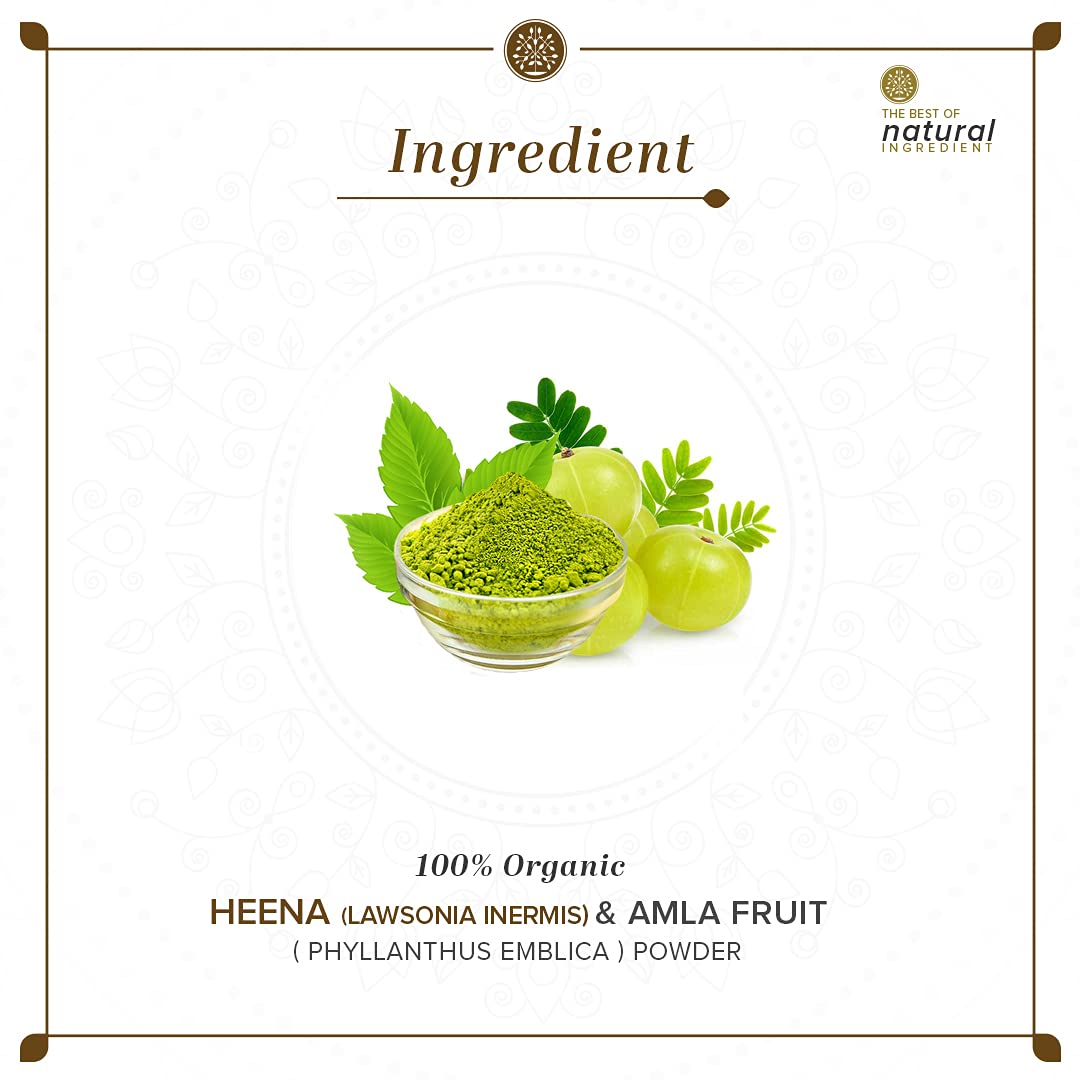 KHADI NATURAL Henna & Amla Fruit Organic Powder – view 6