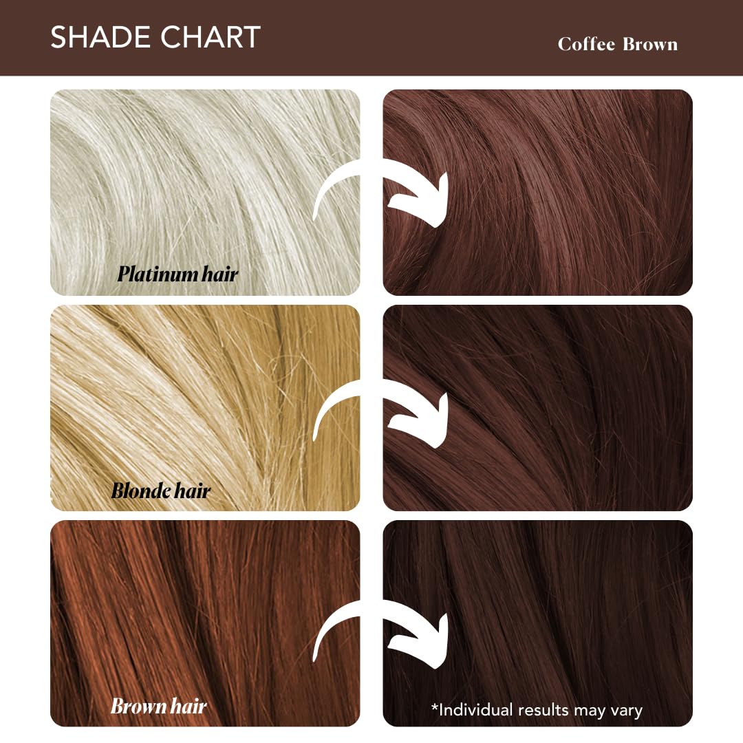 Paradyes Coffee Brown Semi-Permanent Hair Color Kit: Ammonia-Free, Lasts 8+ Washes, Ideal for Dark Hair, Enriched with Nourishing Conditioner Crème – view 6