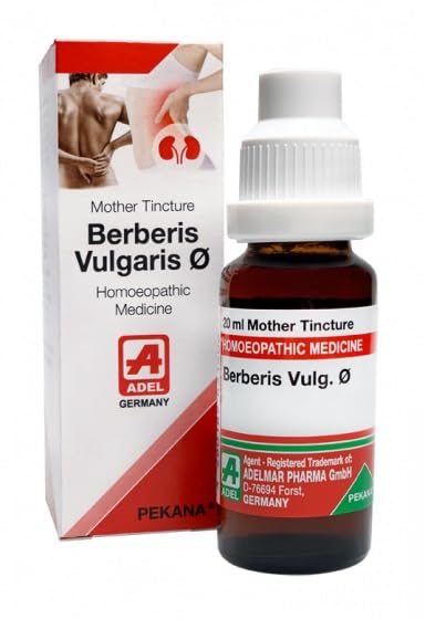 ADEL Berberis Vulg Q Mother Tincture compact 20 ml bottle