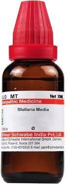 Two 30 ml bottles of Dr. Willmar Schwabe Stellaria Media Q