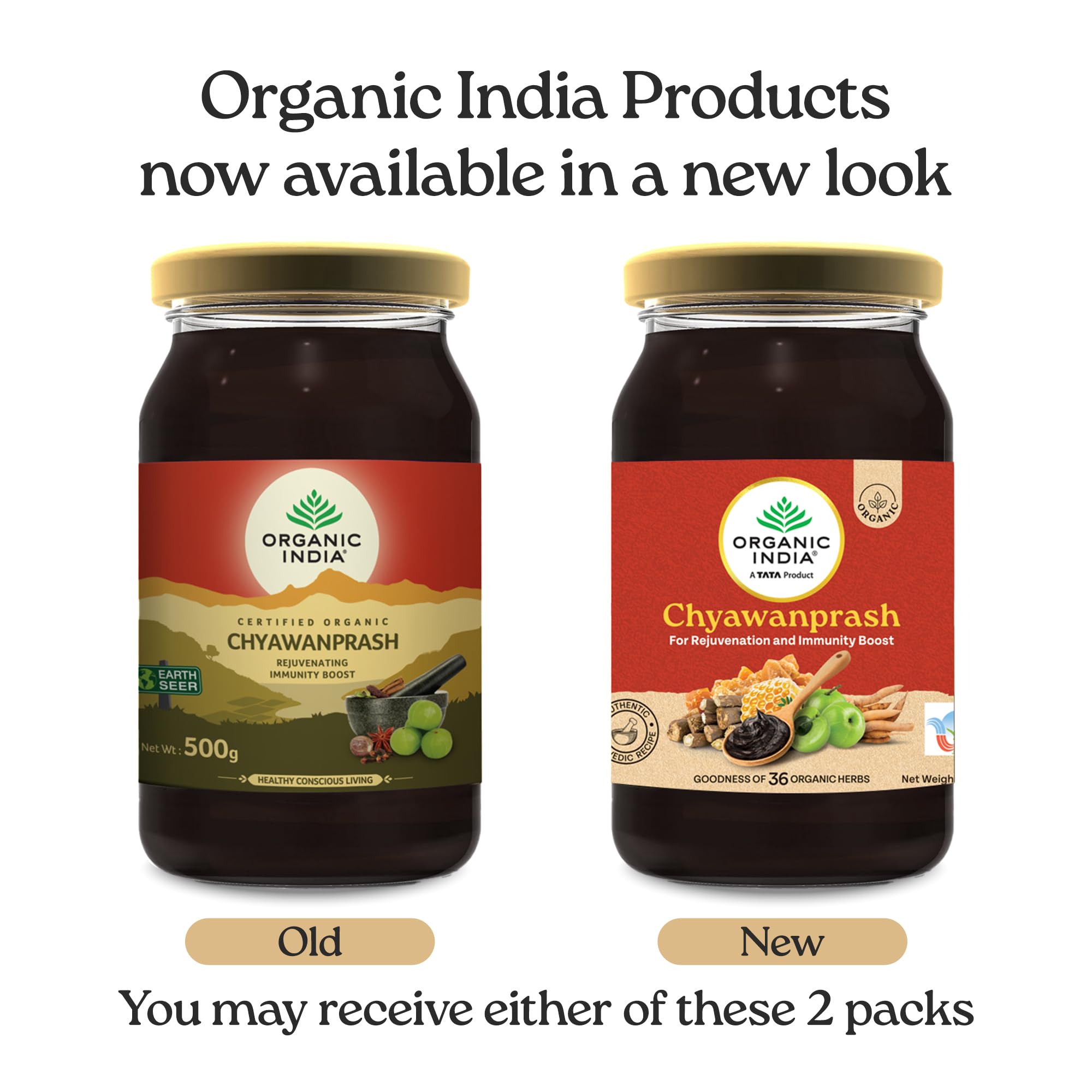 ORGANIC INDIA Organic Chywanprash-500 g – view 3