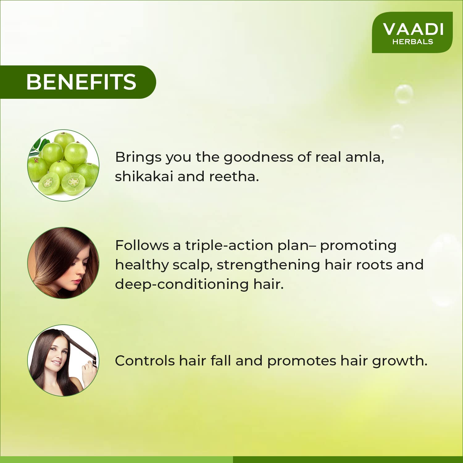 Vaadi Herbals Hair fall and Damage Control Amla Shikakai Shampoo, 350ml (Pack of 3) – view 2