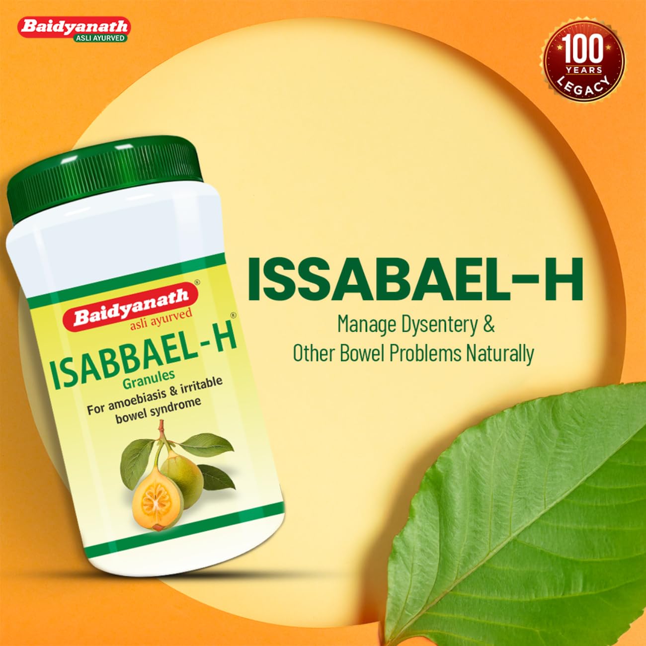 Baidyanath Isabbael H - 100 g (Granules), Colourless – view 3