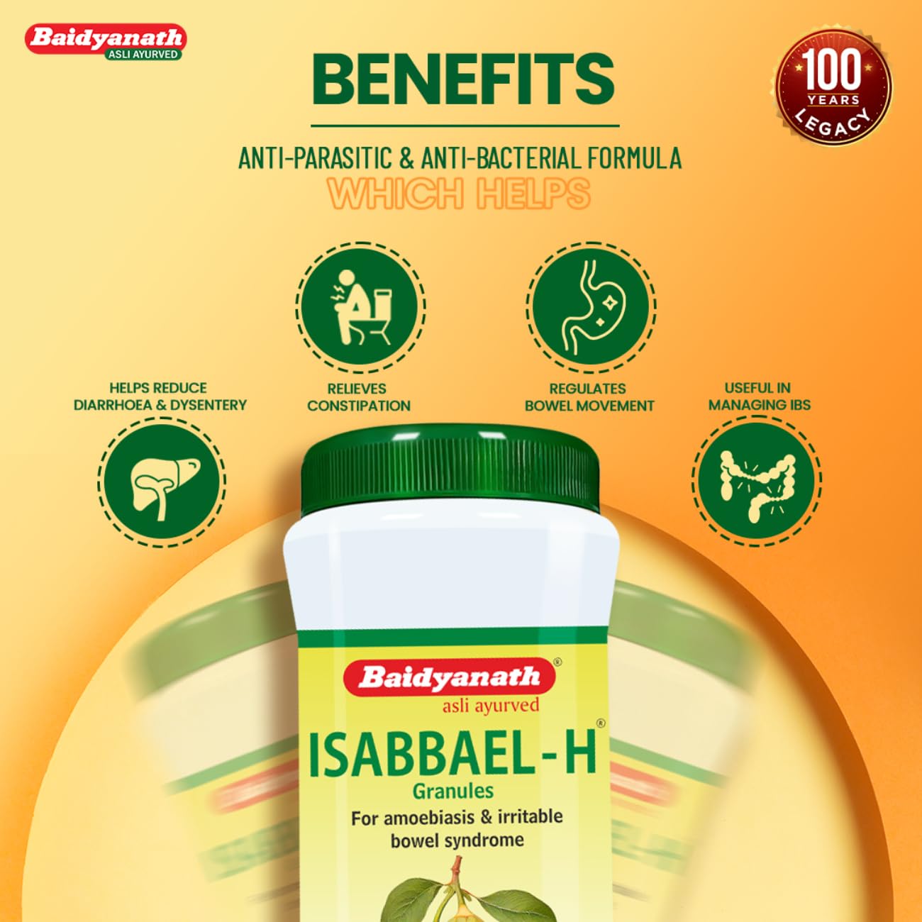 Baidyanath Isabbael H - 100 g (Granules), Colourless – view 5