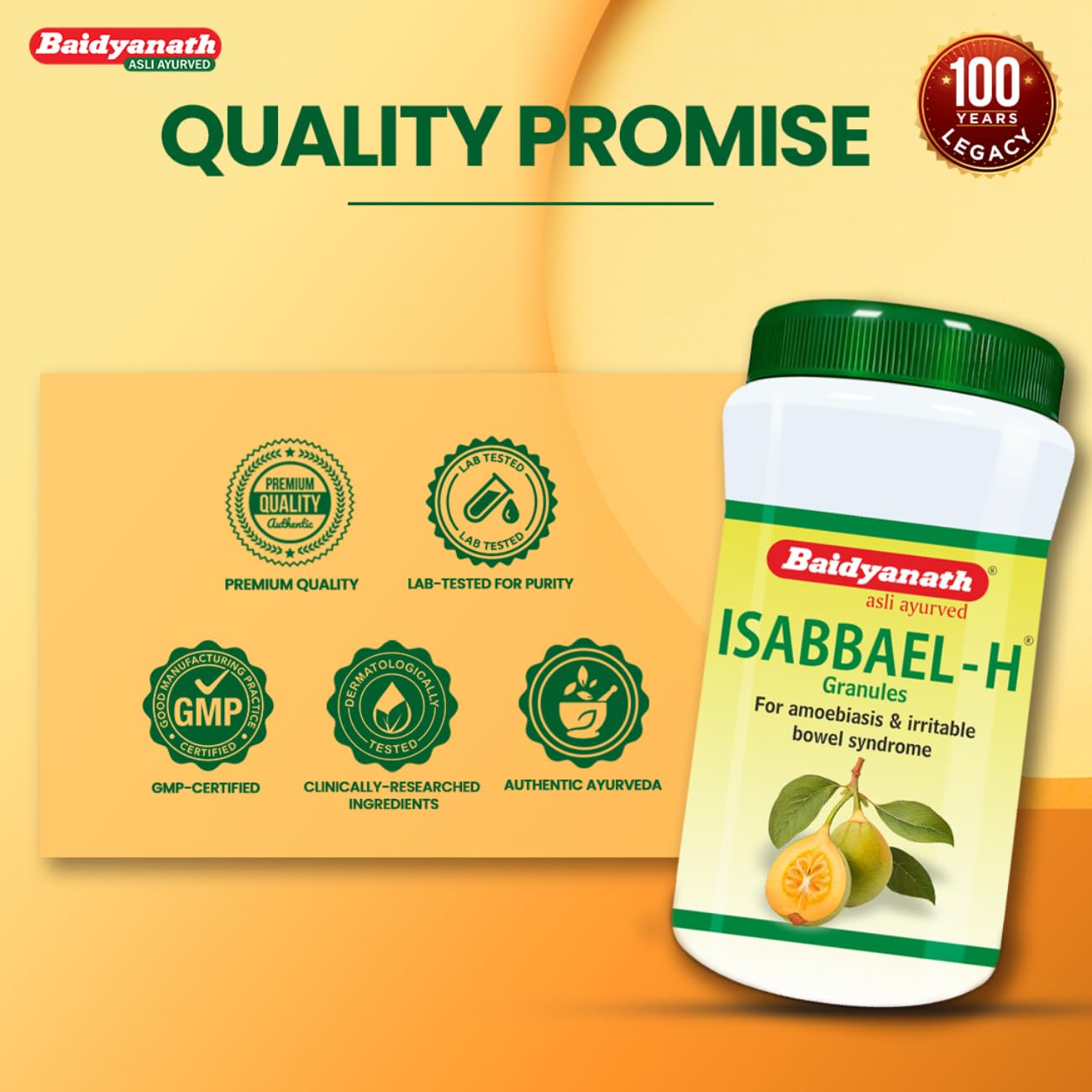 Baidyanath Isabbael H - 100 g (Granules), Colourless – view 7