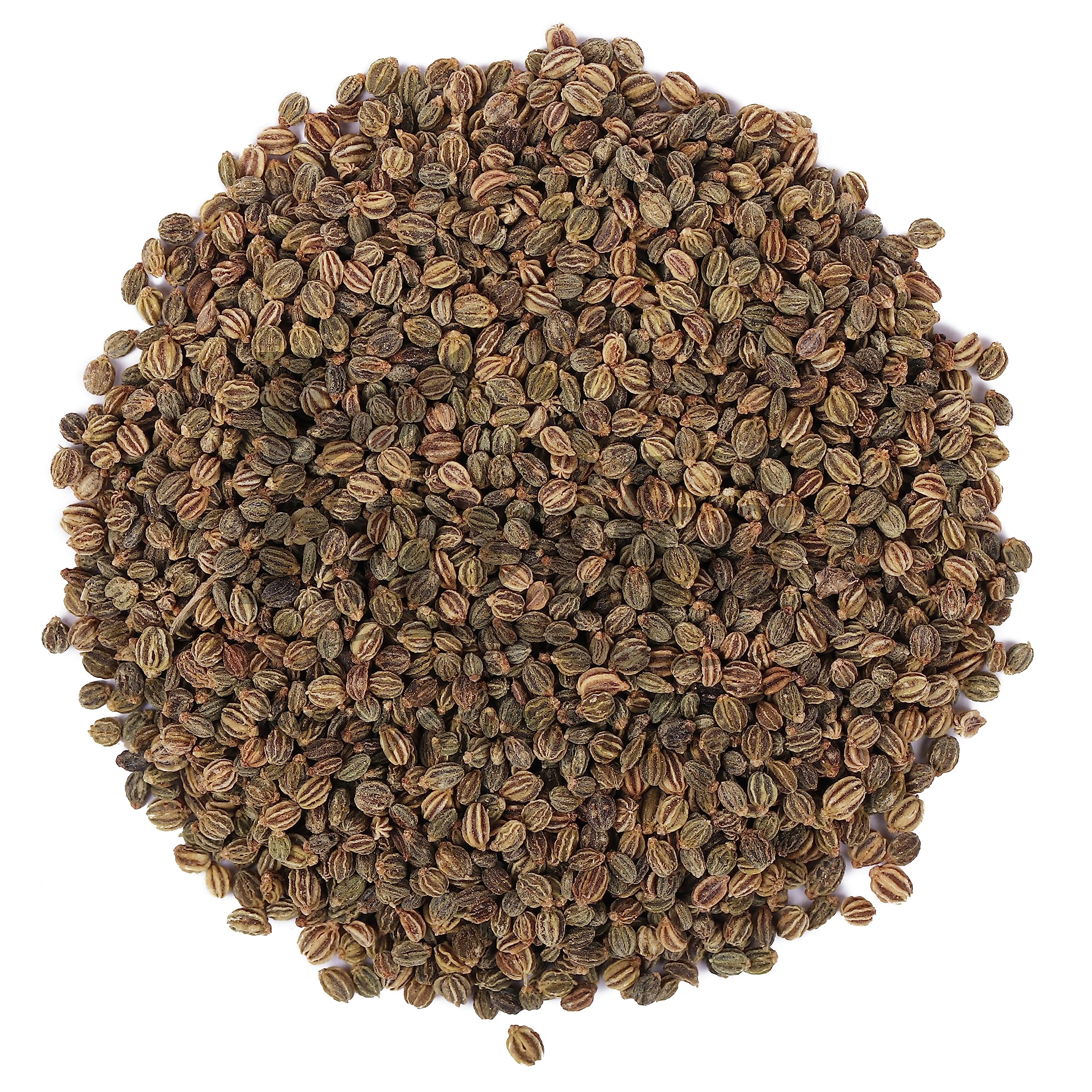 Yuvika Ajmod - Apium Graveolens - Celery Seeds 100 Grams – view 2