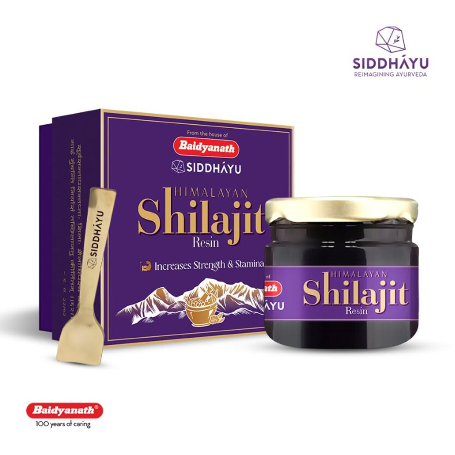 Baidyanath Asli Ayurved Himalayan Shilajit/Shilajeet Resin 20Gm - 100% Ayurvedic – view 2